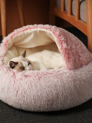 Cute cat beds