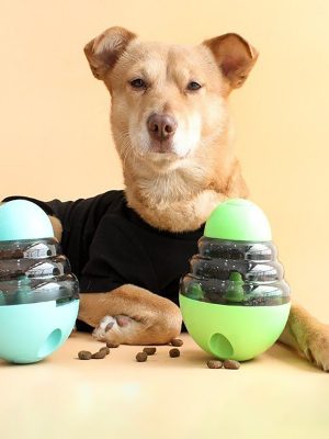 Dog food dispenser toy