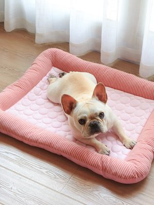 Calming Dog Bed