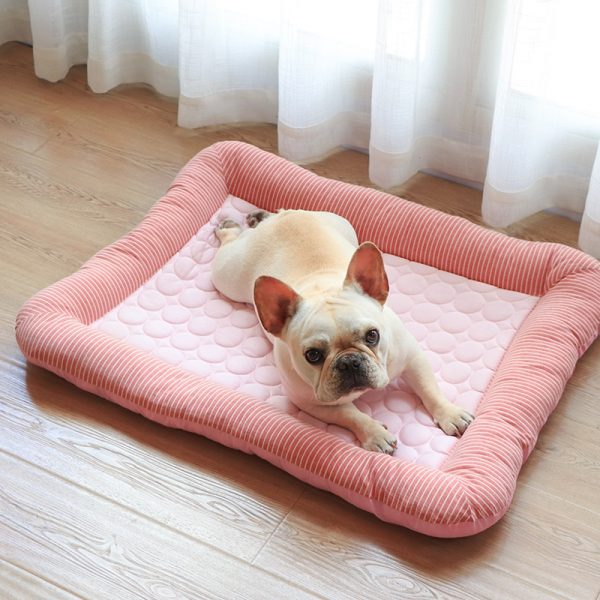 Calming Dog Bed