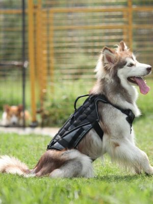 Dog Tactical Harness