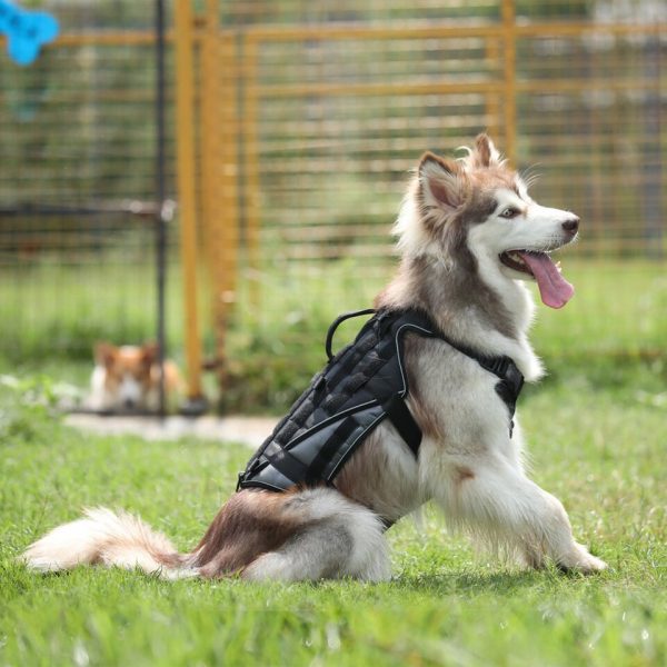 Dog Tactical Harness