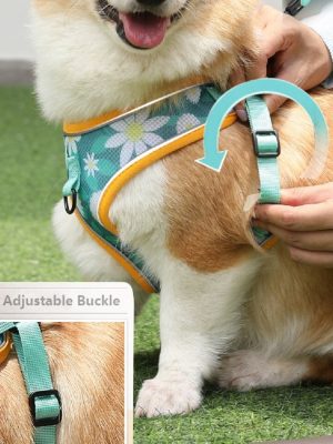 Gentle Dog Harness