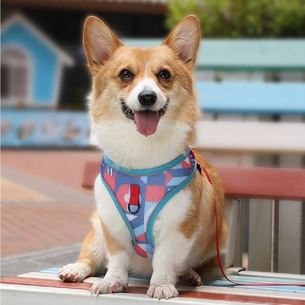 Gentle lead Dog Harness